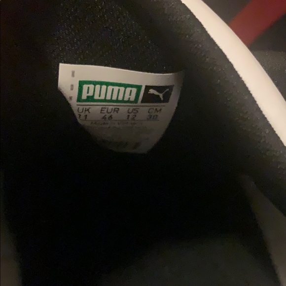 Puma - Picture 3 of 3